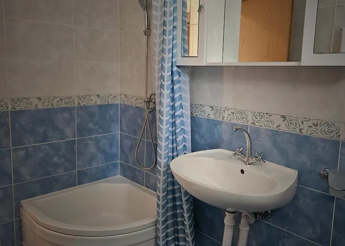 Nikolina 比奥格勒·纳·莫鲁